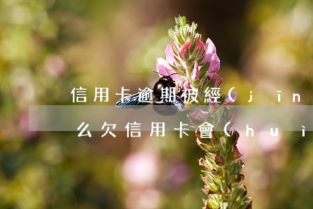 信用卡逾期被經(jīng)偵傳喚面臨什么(欠信用卡會(huì)報(bào)經(jīng)偵嗎)