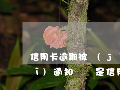 信用卡逾期被經(jīng)偵大隊(duì)通知問話(是信用卡逾期了 打電話通知提醒他們的)
