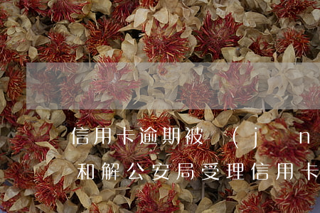 信用卡逾期被經(jīng)偵立案后怎么和解(公安局受理信用卡逾期案件嗎)
