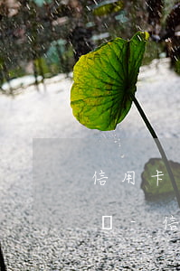 信用卡逾期被網(wǎng)上在逃人員登記-信用卡逾期被網(wǎng)上在逃人員登記怎么辦