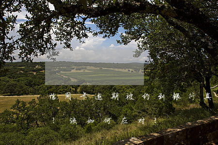 信用卡逾期被约到银行，真的会被拘留三天吗？该如何应对？