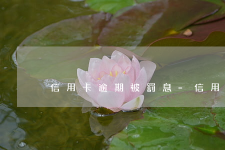 信用卡逾期被罰息-信用卡 逾期 罰息