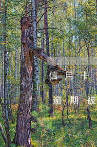 信用卡逾期被罰高額利息和違約金-信用卡逾期被罰高額利息和違約金怎么算