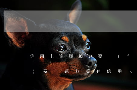 信用卡逾期被老婆發(fā)現(xiàn)要離婚(老婆有信用卡逾期會影響我的貸款嗎)