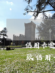信用卡逾期被行政拘留(被拘留導(dǎo)致信用卡逾期)
