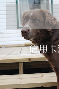 信用卡逾期被要求面訪(信用卡逾期被銀行約談)