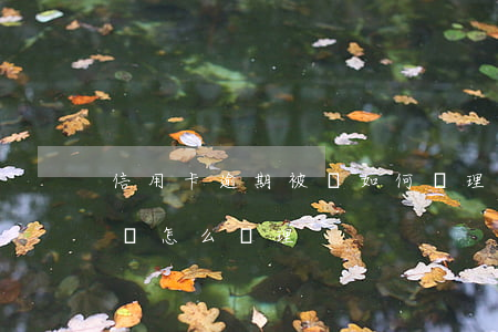 信用卡逾期被訴如何處理(信用卡逾期后被起訴怎么處理)