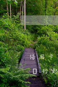 信用卡逾期被訴訟了怎么辦(信用卡逾期了被銀行起訴了該怎么辦)