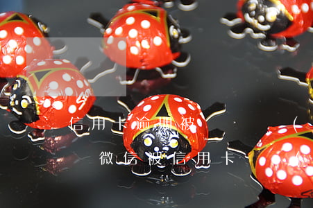 信用卡逾期被訴訟凍結(jié)微信怎么辦(微信被信用卡凍結(jié)怎么解凍)