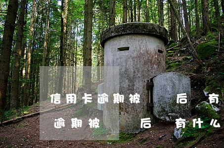信用卡逾期被訴訟后會有什么后果-信用卡逾期被訴訟后會有什么后果嗎