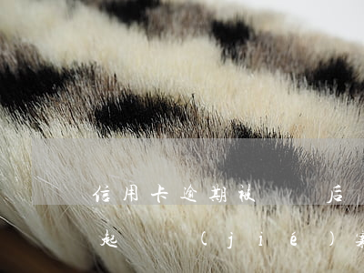 信用卡逾期被訴訟后還了怎么樣(信用卡逾期起訴結(jié)案了法院還會怎么樣)