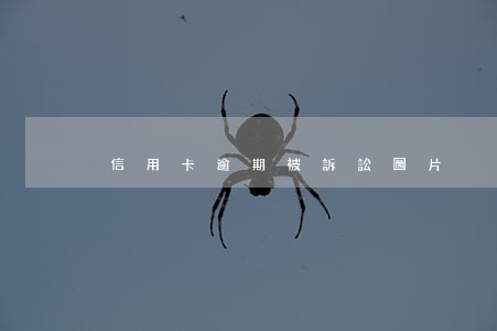 信用卡逾期被訴訟圖片