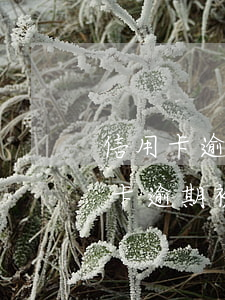 信用卡逾期被訴訟屬于刑事還是民事-信用卡逾期被訴訟屬于刑事還是民事案件