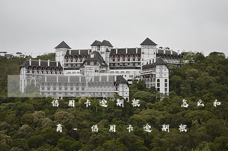 信用卡逾期被訴訟怎么和銀行協(xié)商-信用卡逾期被訴訟怎么和銀行協(xié)商還款