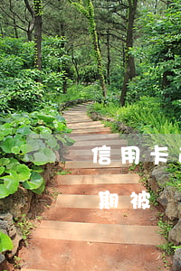 信用卡逾期被訴訟會列入失信人嗎（信用卡逾期被訴訟會列入失信）