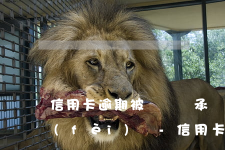 信用卡逾期被訴訟會承擔(dān)訴訟費(fèi)嗎-信用卡逾期被訴訟會承擔(dān)訴訟費(fèi)嗎多少錢
