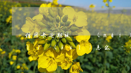 信用卡逾期被訴訟沒(méi)理會(huì)會(huì)怎么樣-信用卡逾期被訴訟沒(méi)理會(huì)會(huì)怎么樣嗎