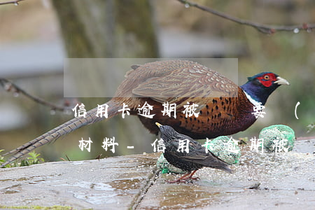 信用卡逾期被訴訟要準(zhǔn)備什么材料-信用卡逾期被訴訟要準(zhǔn)備什么材料呢