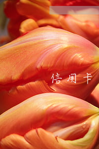 信用卡逾期被訴訟通知