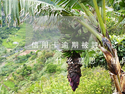 信用卡逾期被評(píng)為ma級(jí)什么意思-信用逾期等級(jí)