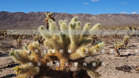 信用卡逾期被認定惡意透支后果 被起訴信用卡惡意透支會拘留嗎