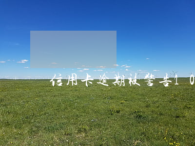信用卡逾期被警告(10张信用卡逾期的后果)
