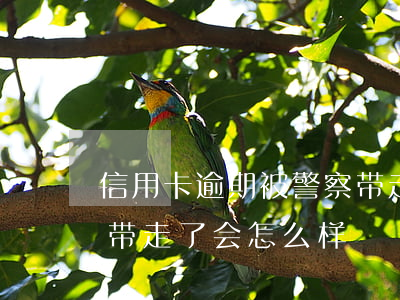 信用卡逾期被警察带走了 信用卡逾期被警察带走了会怎么样