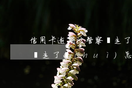 信用卡逾期被警察帶走了 信用卡逾期被警察帶走了會(huì)怎么樣