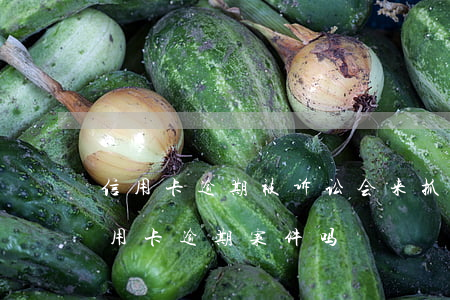 信用卡逾期被诉讼会来抓人吗(法院会受理信用卡逾期案件吗)