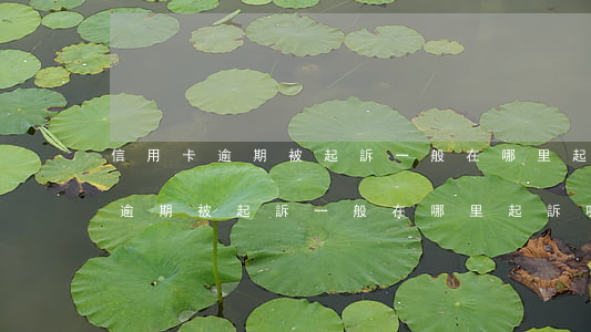 信用卡逾期被起訴一般在哪里起訴-信用卡逾期被起訴一般在哪里起訴呢