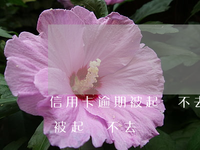 信用卡逾期被起訴不去會怎么樣（信用卡逾期被起訴不去）