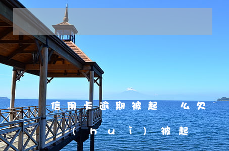 信用卡逾期被起訴么(欠銀行信用卡逾期多久會(huì)被起訴)