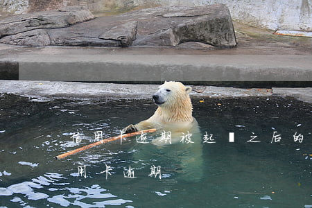 信用卡逾期被起訴之后的流程 民事訴訟法信用卡逾期