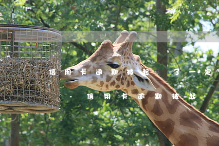 信用卡逾期被起訴了一定會(huì)坐牢嗎-信用卡逾期被起訴了一定會(huì)坐牢嗎知乎