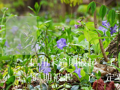 信用卡逾期被起訴了一定要到庭嗎-信用卡逾期被起訴了一定要到庭嗎怎么辦
