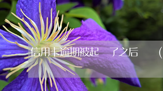 信用卡逾期被起訴了之后確實(shí)沒錢還
