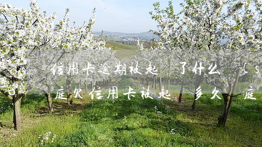 信用卡逾期被起訴了什么時(shí)候開庭(欠信用卡被起訴多久開庭)