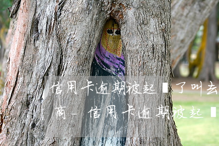 信用卡逾期被起訴了叫去訴前協(xié)商-信用卡逾期被起訴了叫去訴前協(xié)商可以嗎