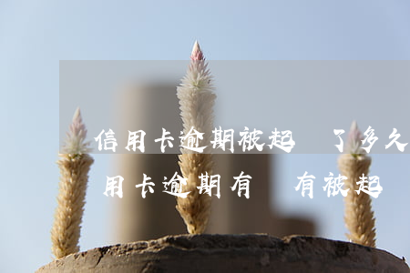 信用卡逾期被起訴了多久上門(怎么能知道信用卡逾期有沒有被起訴)