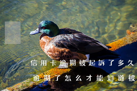 信用卡逾期被起訴了多久出判決書(欠信用卡逾期了,怎么才能知道被起訴了)