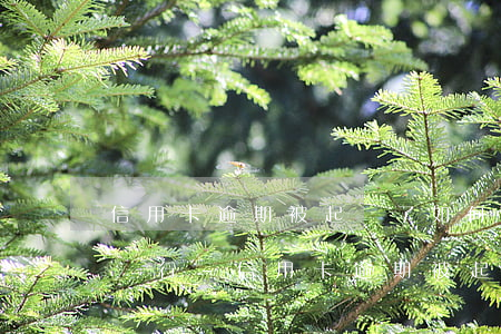 信用卡逾期被起訴了如何聯(lián)系銀行-信用卡逾期被起訴了如何聯(lián)系銀行客服