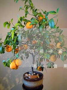 信用卡逾期被起訴了就會(huì)被坐牢嗎-信用卡逾期被起訴了就會(huì)被坐牢嗎知乎