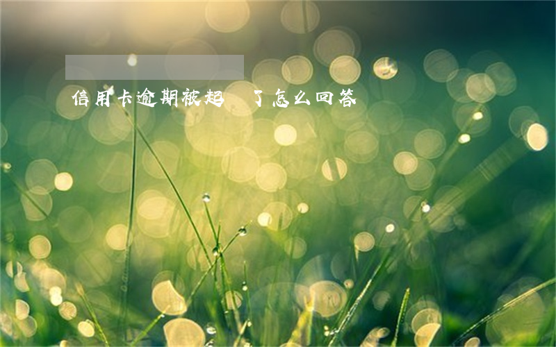 信用卡逾期被起訴了怎么回答