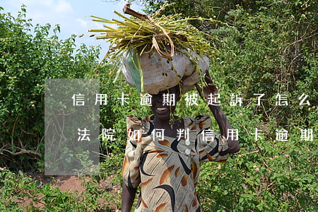 信用卡逾期被起訴了怎么應(yīng)對(法院如何判信用卡逾期)