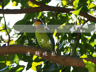 信用卡逾期被起訴了怎么解決問題-信用卡逾期被起訴了怎么解決問題呢