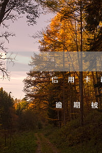 信用卡逾期被起訴了怎么辦理解凍-信用卡逾期被起訴了怎么辦理解凍手續(xù)