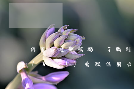 信用卡逾期被起訴了收到法院傳票-法院會(huì)受理信用卡逾期案件嗎