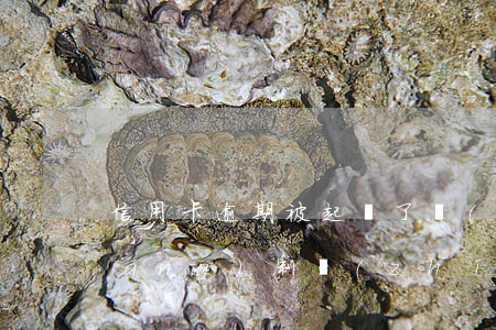 信用卡逾期被起訴了會(huì)強(qiáng)制執(zhí)行嗎-信用卡逾期被起訴了會(huì)強(qiáng)制執(zhí)行嗎知乎