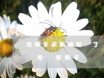 信用卡逾期被起訴了會影響孩子嗎(逾期會影響申請信用卡嗎)