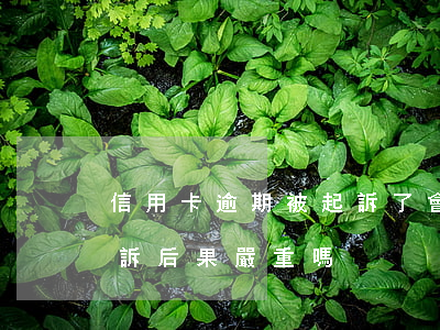 信用卡逾期被起訴了會怎樣(信用卡逾期被起訴后果嚴重嗎)